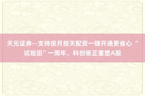 天元证券--支持按月按天配资一键开通更省心 “试验田”一周年，科创板正重塑A股
