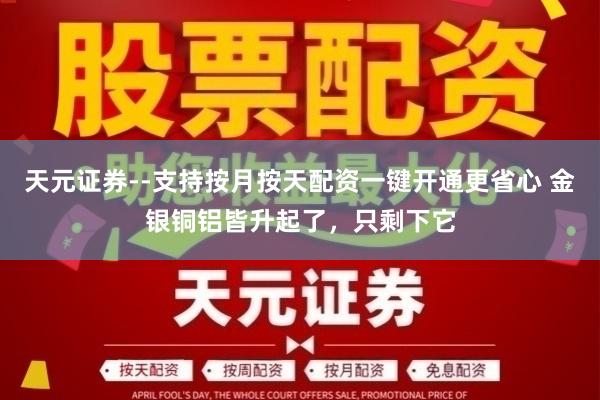 天元证券--支持按月按天配资一键开通更省心 金银铜铝皆升起了，只剩下它