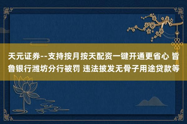 天元证券--支持按月按天配资一键开通更省心 皆鲁银行潍坊分行被罚 违法披发无骨子用途贷款等