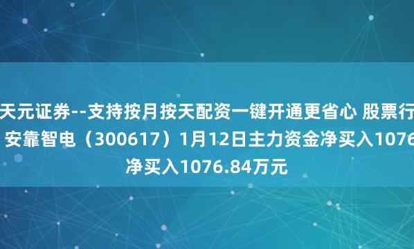 天元证券--支持按月按天配资一键开通更省心 股票行情快报：安靠智电（300617）1月12日主力资金净买入1076.84万元